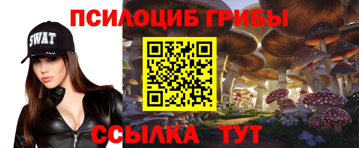Изобильный  Галлюциногенные грибы Cubensis  Вход с VPN 